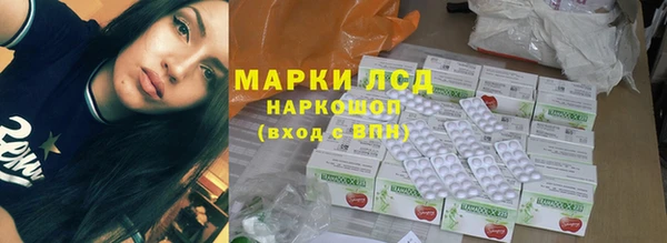тгк Дмитриев