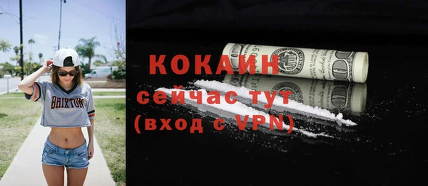 винт Абаза