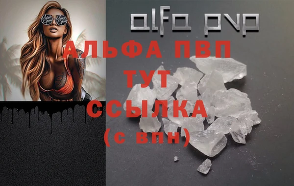 винт Абаза