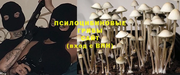 бошки Абинск