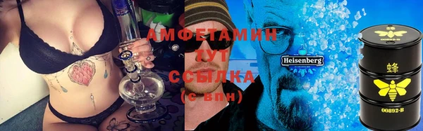 винт Абаза