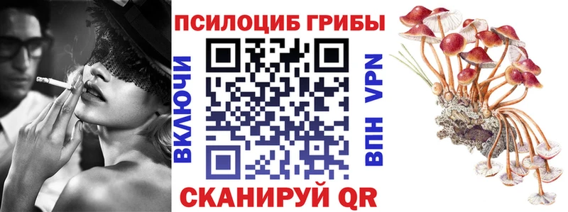 Псилоцибиновые грибы мицелий  Приволжский 